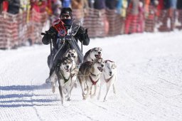 Lenk 2013